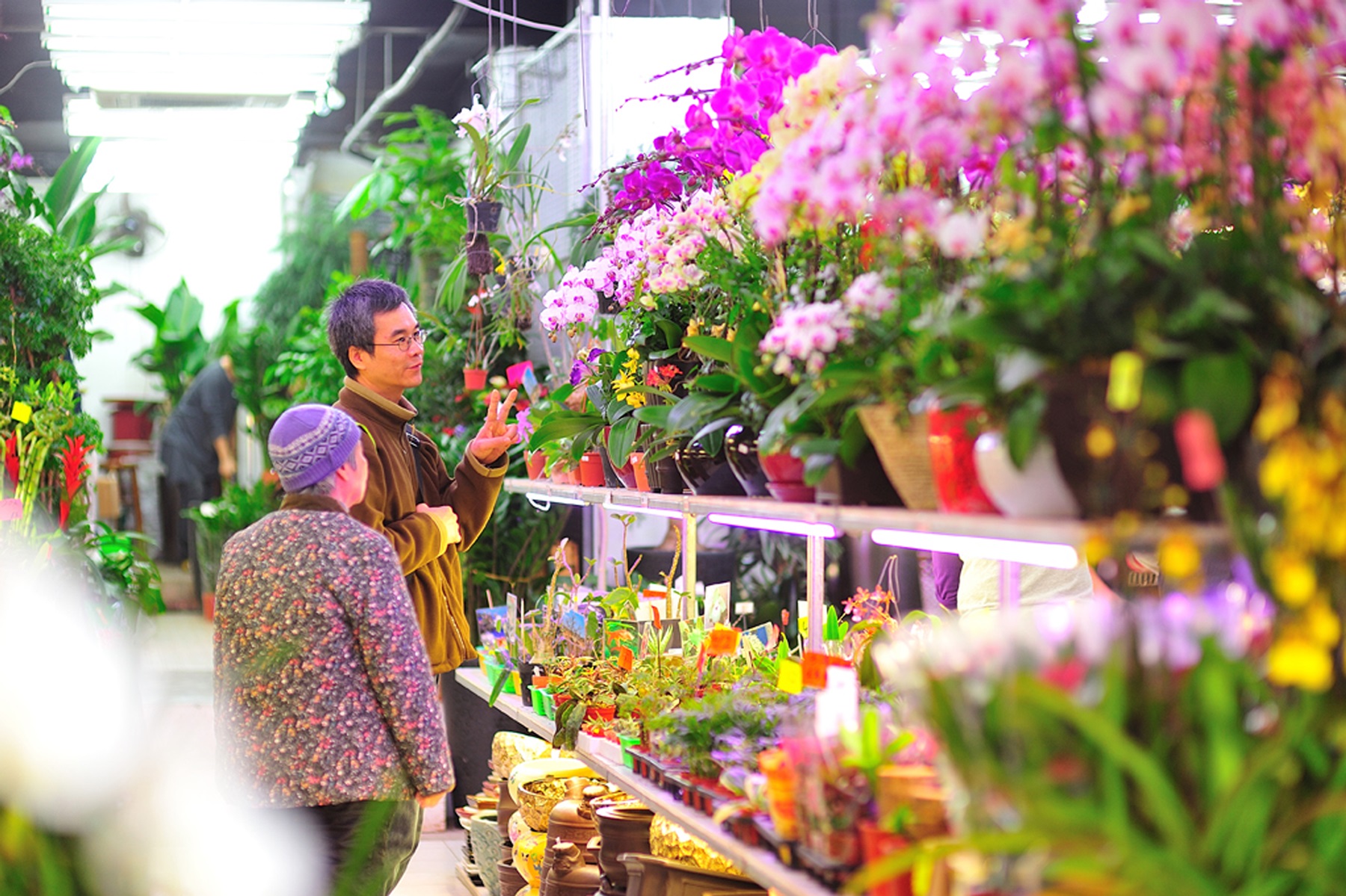3 Chinese New Year Flower Market Stock Image 
